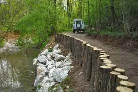 macchina che percorre una strada vicino ad un fiume