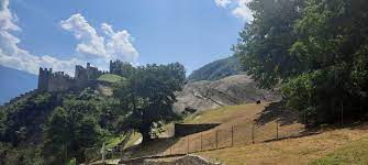 Immagine anteprima