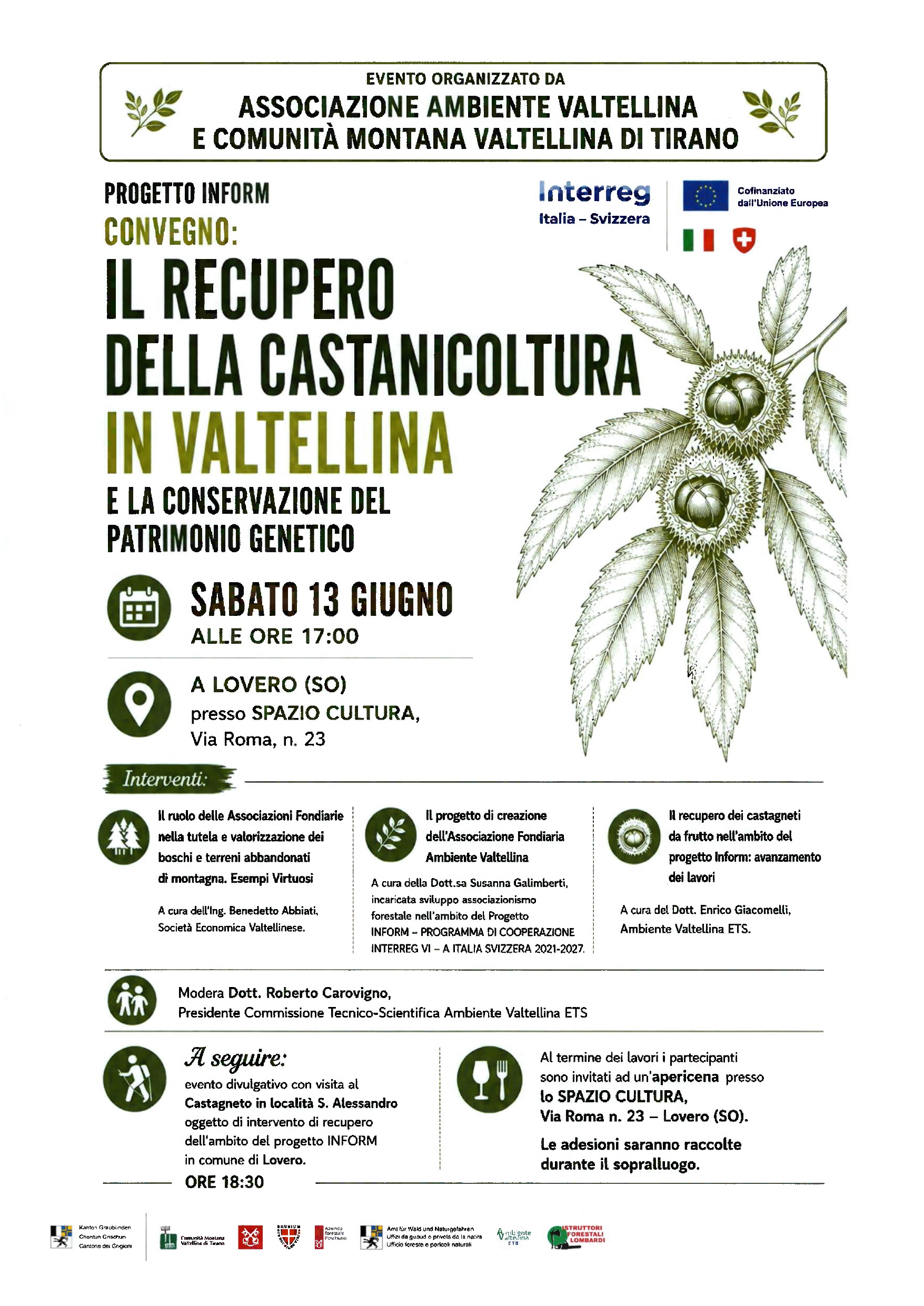 Immagine anteprima