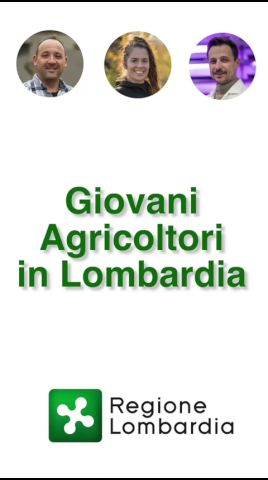 Immagine anteprima