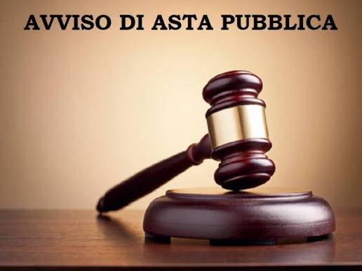 Immagine anteprima