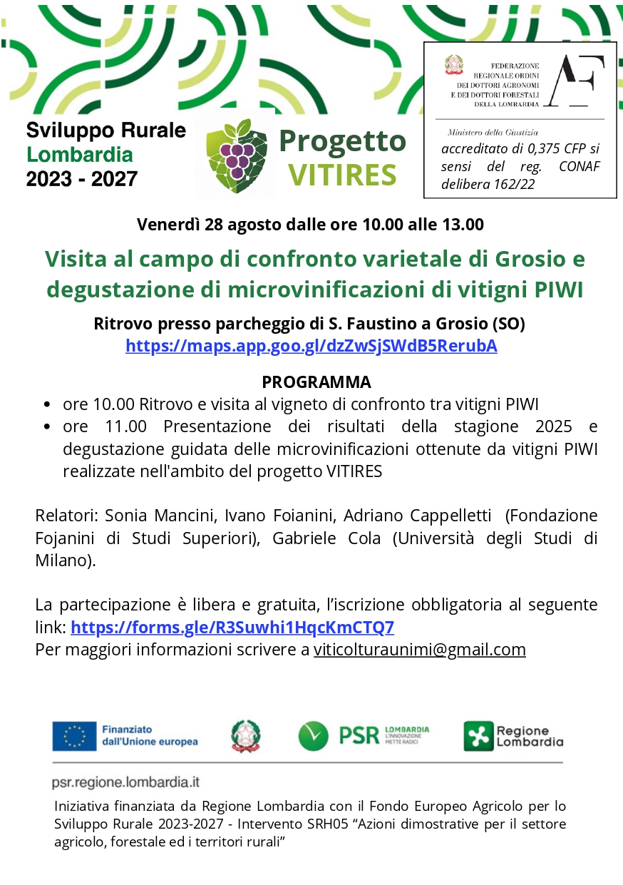 Immagine anteprima